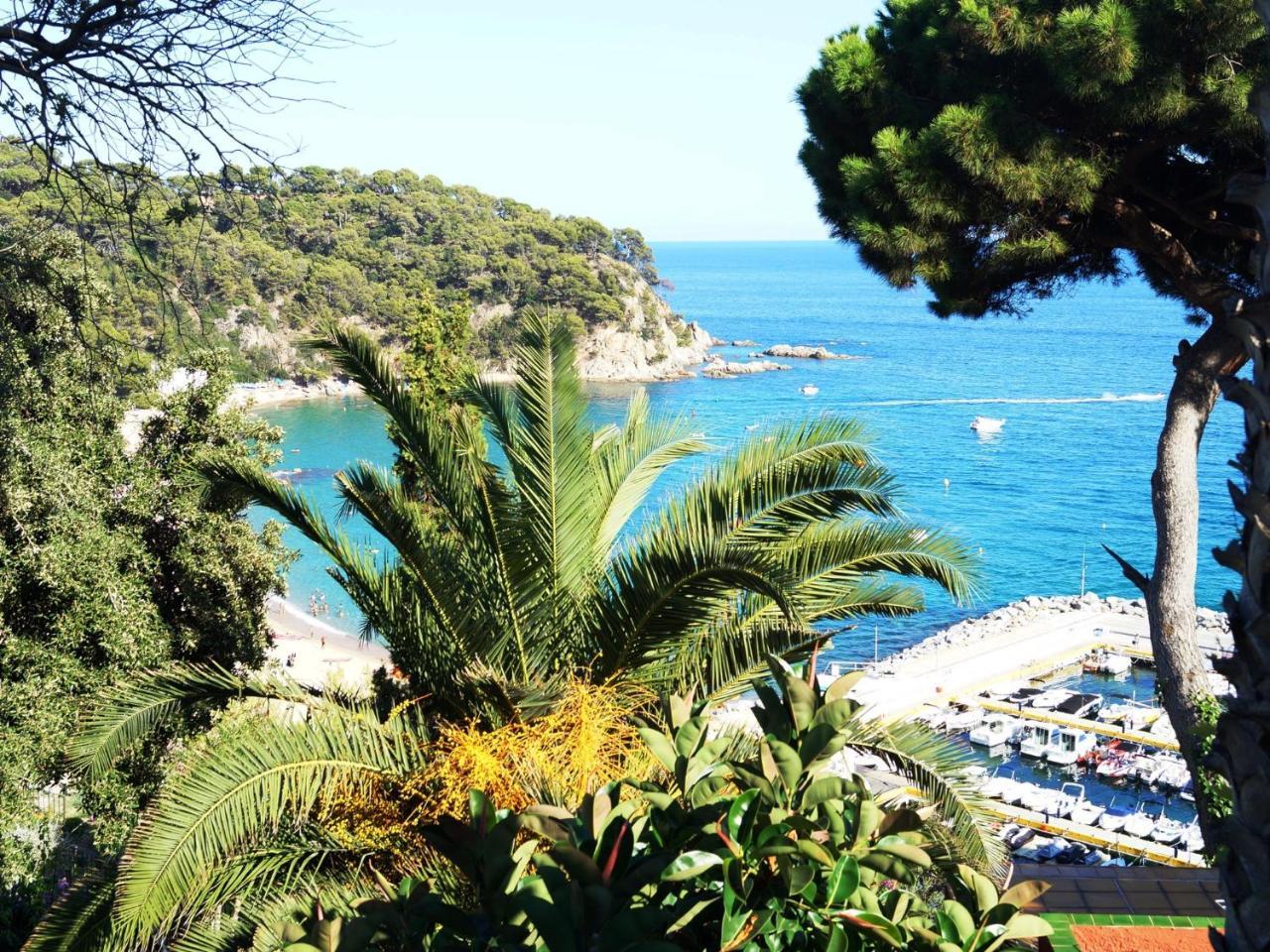 Mango Lloret de Mar